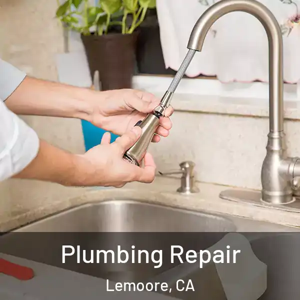  Plumbing Repair Lemoore, CA