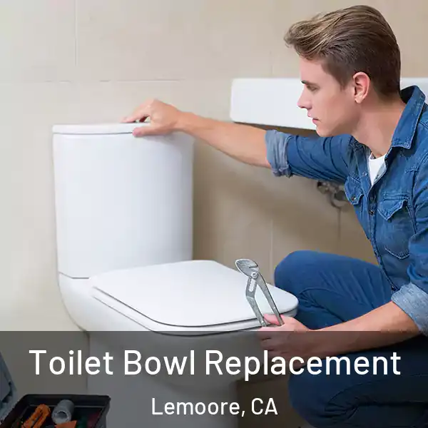  Toilet Bowl Replacement Lemoore, CA