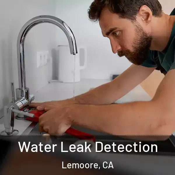  Water Leak Detection Lemoore, CA
